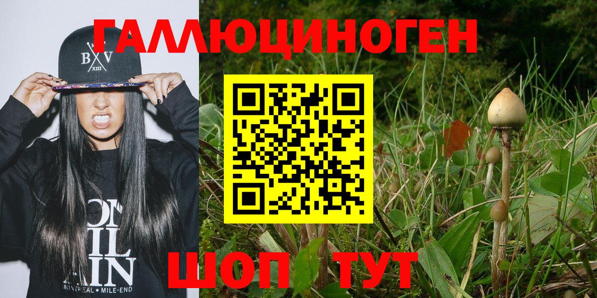 Псилоцибиновые грибы MAGIC MUSHROOMS  Галлюциногенные грибы мухоморы  Качканар  Вход с VPN 