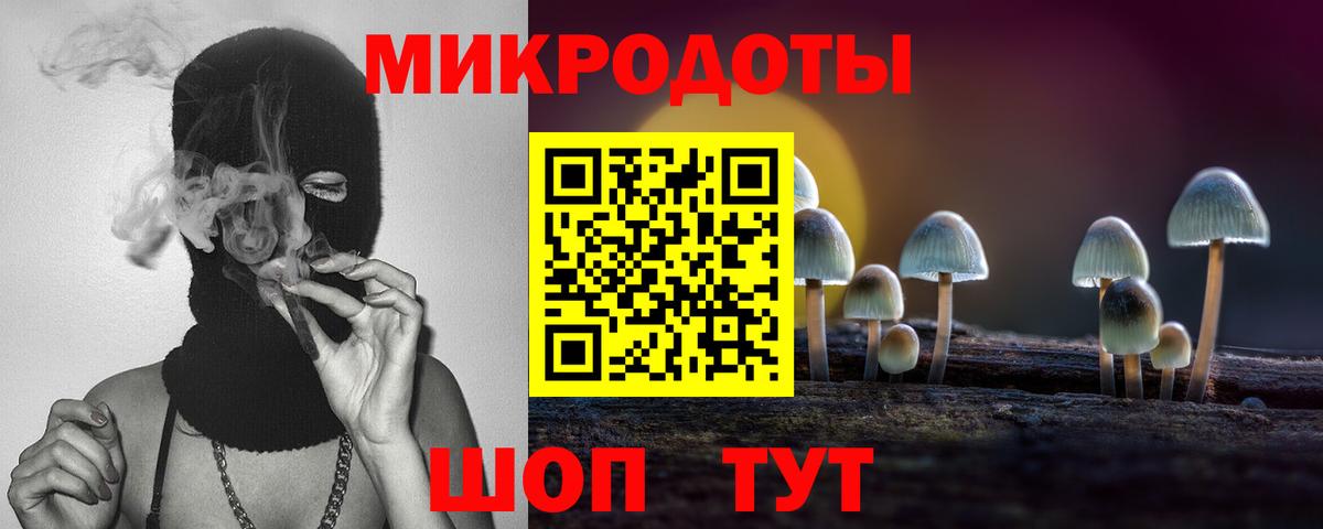 Галлюциногенные грибы Magic Shrooms Качканар